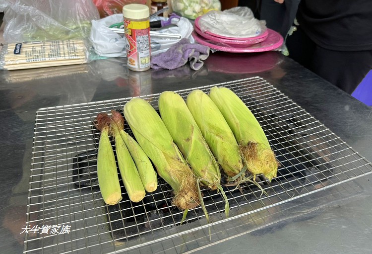 賽德克公主夢幻園區、賽德克公主夢幻園區門票、南投仁愛鄉賽德克公主露營區、夢谷瀑布賽德克公主夢幻園區、夢谷瀑布露營區、夢谷瀑布親子農場、夢谷瀑布烤肉、