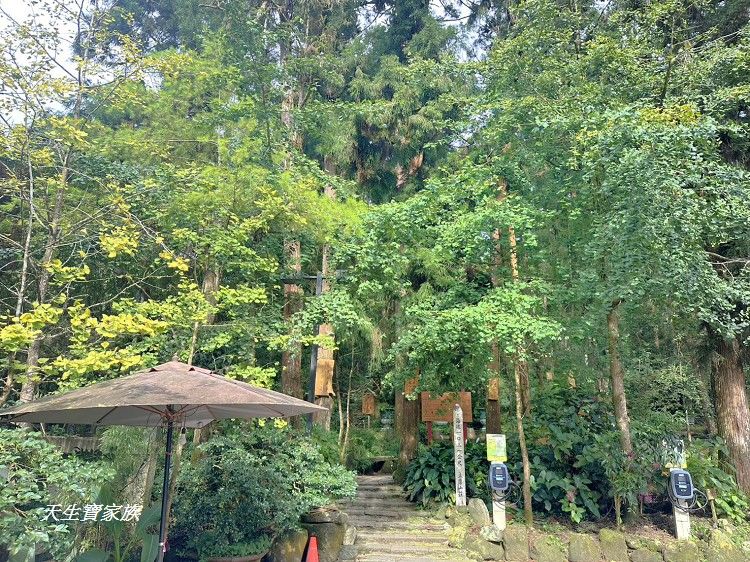 溪頭銀杏森林火鍋、銀杏森林火鍋溪頭孟宗店、銀杏森林火鍋、銀杏森林火鍋菜單、銀杏森林火鍋餐廳電話、孟宗山莊火鍋、孟宗山莊大飯店