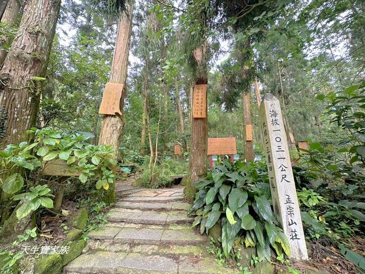 溪頭銀杏森林火鍋、銀杏森林火鍋溪頭孟宗店、銀杏森林火鍋、銀杏森林火鍋菜單、銀杏森林火鍋餐廳電話、孟宗山莊火鍋、孟宗山莊大飯店