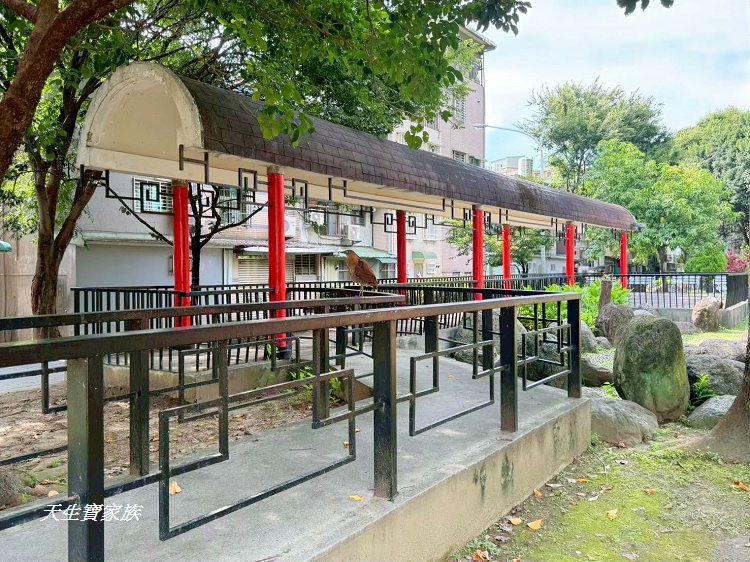 板橋農村公園、板橋石雕公園、板橋公園、農村公園富士山、農村公園圖片、板橋江子翠公園、農村 福德宮
