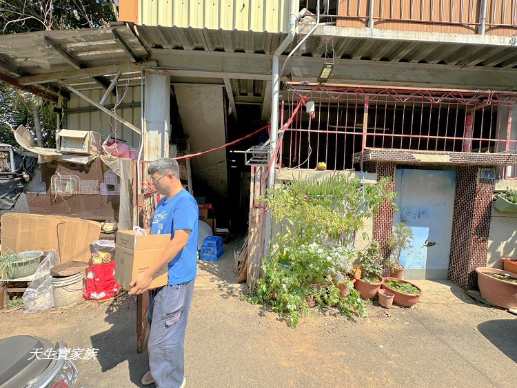 永豐土雞城、南投美食、南投永豐土雞城、永豐土雞城菜單、永豐土雞城營業時間、永豐土雞城評論、永豐土雞城照片、永豐吉土雞城