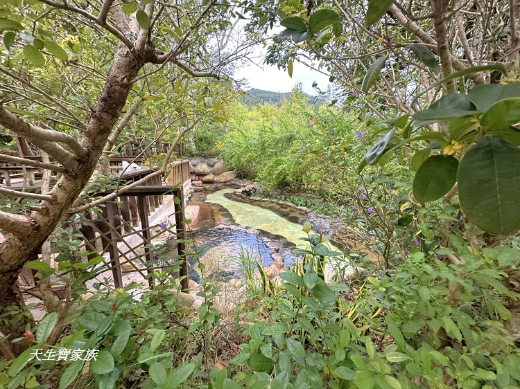 石湯溫泉、苗栗溫泉、苗栗石湯溫泉、大湖石湯溫泉、石湯溫泉門票、石湯溫泉票價、石湯溫泉的評論、石湯溫泉冷泉