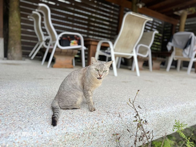 石湯溫泉、苗栗溫泉、苗栗石湯溫泉、大湖石湯溫泉、石湯溫泉門票、石湯溫泉票價、石湯溫泉的評論、石湯溫泉冷泉 石湯溫泉、苗栗溫泉、苗栗石湯溫泉、大湖石湯溫泉、石湯溫泉門票、石湯溫泉票價、石湯溫泉的評論、石湯溫泉冷泉