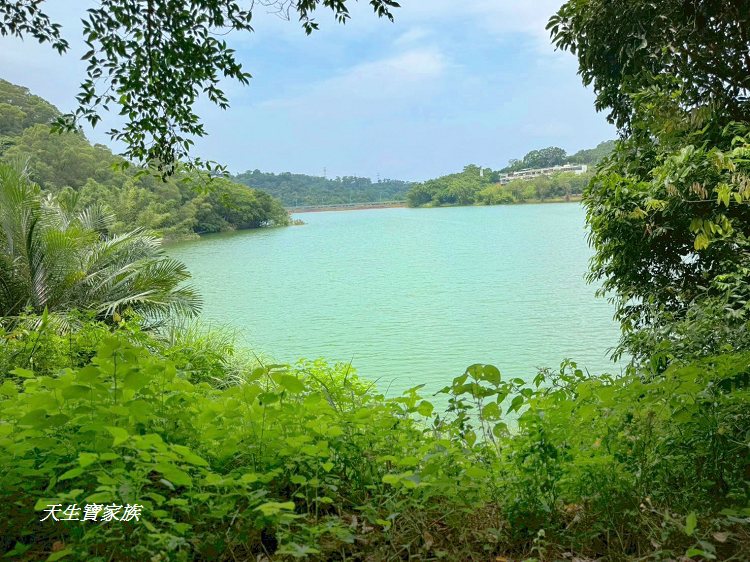 新竹景點、新竹寶山水庫環湖步道、沙湖壢步道、寶山水庫環湖步道、寶山水庫、寶山水庫環湖步道地圖、