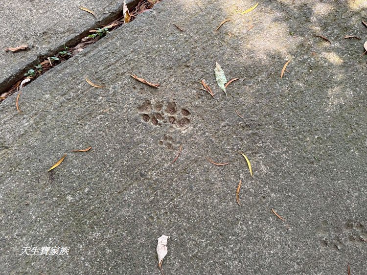 新竹景點、新竹寶山水庫環湖步道、沙湖壢步道、寶山水庫環湖步道、寶山水庫、寶山水庫環湖步道地圖、