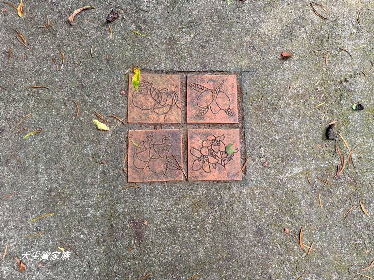 新竹景點、新竹寶山水庫環湖步道、沙湖壢步道、寶山水庫環湖步道、寶山水庫、寶山水庫環湖步道地圖、