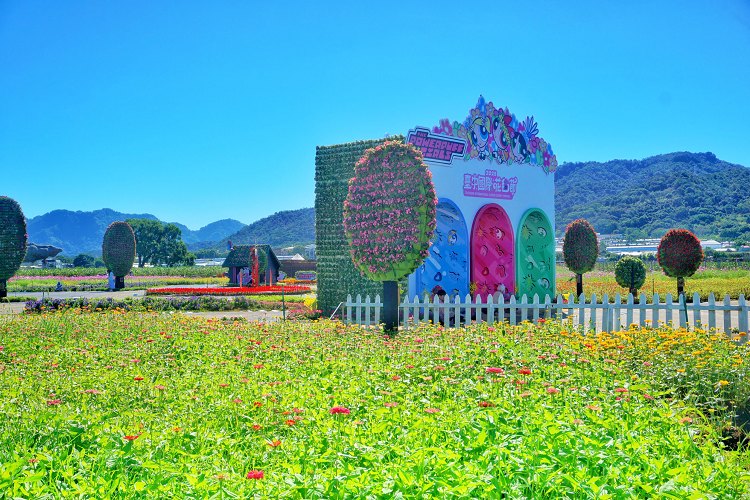 台中新社花海、2025臺中國際花毯節、2025新社花海日期、2025新社花海、新社花海、新社花海一日遊、2025新社花海接駁車、新社花海開放時間、2025台中新社花海、2025新社花海暨臺中國際花毯節 台中新社花海、2025臺中國際花毯節、2025新社花海日期、2025新社花海、新社花海、新社花海一日遊、2025新社花海接駁車、新社花海開放時間、2025台中新社花海、2025新社花海暨臺中國際花毯節