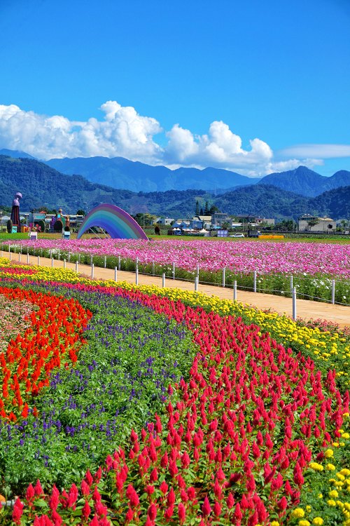 台中新社花海、2025臺中國際花毯節、2025新社花海日期、2025新社花海、新社花海、新社花海一日遊、2025新社花海接駁車、新社花海開放時間、2025台中新社花海、2025新社花海暨臺中國際花毯節 台中新社花海、2025臺中國際花毯節、2025新社花海日期、2025新社花海、新社花海、新社花海一日遊、2025新社花海接駁車、新社花海開放時間、2025台中新社花海、2025新社花海暨臺中國際花毯節