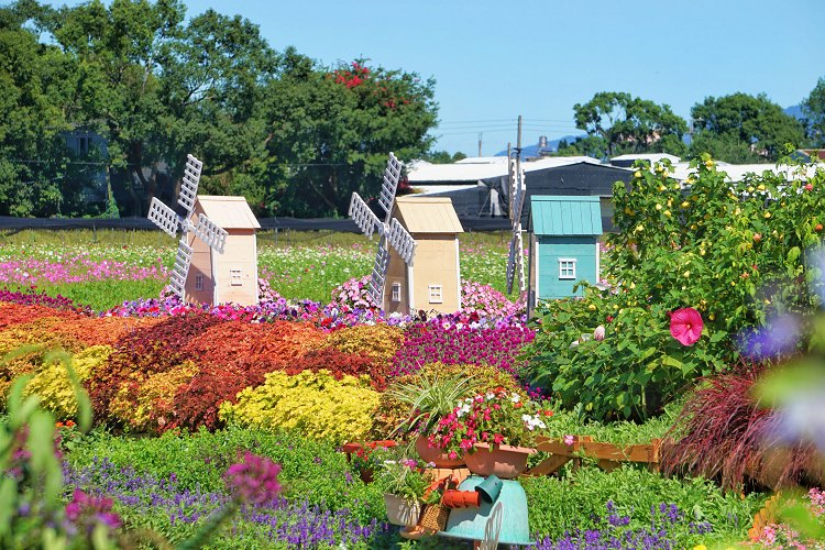 台中新社花海、2025臺中國際花毯節、2025新社花海日期、2025新社花海、新社花海、新社花海一日遊、2025新社花海接駁車、新社花海開放時間、2025台中新社花海、2025新社花海暨臺中國際花毯節 台中新社花海、2025臺中國際花毯節、2025新社花海日期、2025新社花海、新社花海、新社花海一日遊、2025新社花海接駁車、新社花海開放時間、2025台中新社花海、2025新社花海暨臺中國際花毯節