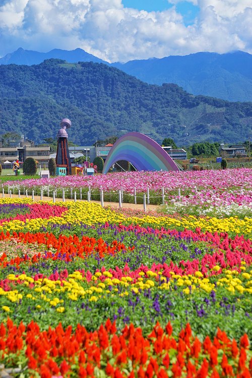 台中新社花海、2025臺中國際花毯節、2025新社花海日期、2025新社花海、新社花海、新社花海一日遊、2025新社花海接駁車、新社花海開放時間、2025台中新社花海、2025新社花海暨臺中國際花毯節 台中新社花海、2025臺中國際花毯節、2025新社花海日期、2025新社花海、新社花海、新社花海一日遊、2025新社花海接駁車、新社花海開放時間、2025台中新社花海、2025新社花海暨臺中國際花毯節