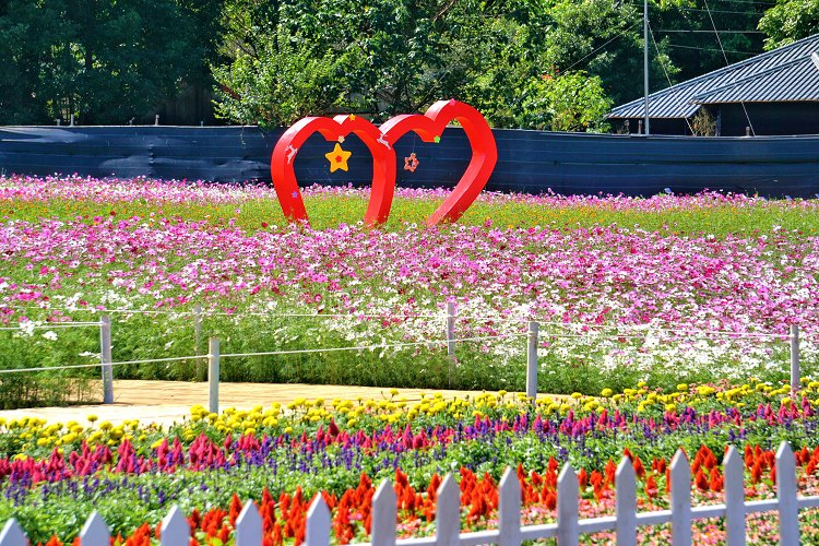 台中新社花海、2025臺中國際花毯節、2025新社花海日期、2025新社花海、新社花海、新社花海一日遊、2025新社花海接駁車、新社花海開放時間、2025台中新社花海、2025新社花海暨臺中國際花毯節 台中新社花海、2025臺中國際花毯節、2025新社花海日期、2025新社花海、新社花海、新社花海一日遊、2025新社花海接駁車、新社花海開放時間、2025台中新社花海、2025新社花海暨臺中國際花毯節