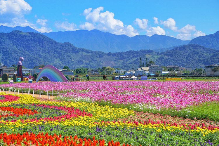 台中新社花海、2025臺中國際花毯節、2025新社花海日期、2025新社花海、新社花海、新社花海一日遊、2025新社花海接駁車、新社花海開放時間、2025台中新社花海、2025新社花海暨臺中國際花毯節