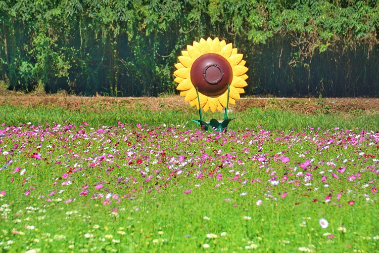 台中新社花海、2025臺中國際花毯節、2025新社花海日期、2025新社花海、新社花海、新社花海一日遊、2025新社花海接駁車、新社花海開放時間、2025台中新社花海、2025新社花海暨臺中國際花毯節 台中新社花海、2025臺中國際花毯節、2025新社花海日期、2025新社花海、新社花海、新社花海一日遊、2025新社花海接駁車、新社花海開放時間、2025台中新社花海、2025新社花海暨臺中國際花毯節