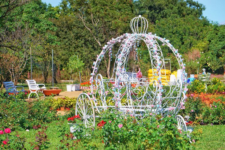 台中新社花海、2025臺中國際花毯節、2025新社花海日期、2025新社花海、新社花海、新社花海一日遊、2025新社花海接駁車、新社花海開放時間、2025台中新社花海、2025新社花海暨臺中國際花毯節 台中新社花海、2025臺中國際花毯節、2025新社花海日期、2025新社花海、新社花海、新社花海一日遊、2025新社花海接駁車、新社花海開放時間、2025台中新社花海、2025新社花海暨臺中國際花毯節