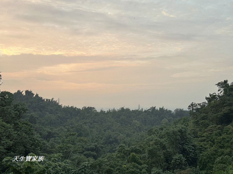 竹山景點、南投竹山山邊嶺土地公廟、山邊嶺土地公廟、山邊嶺土地公、山邊嶺土地公地址、山邊嶺土地公評論