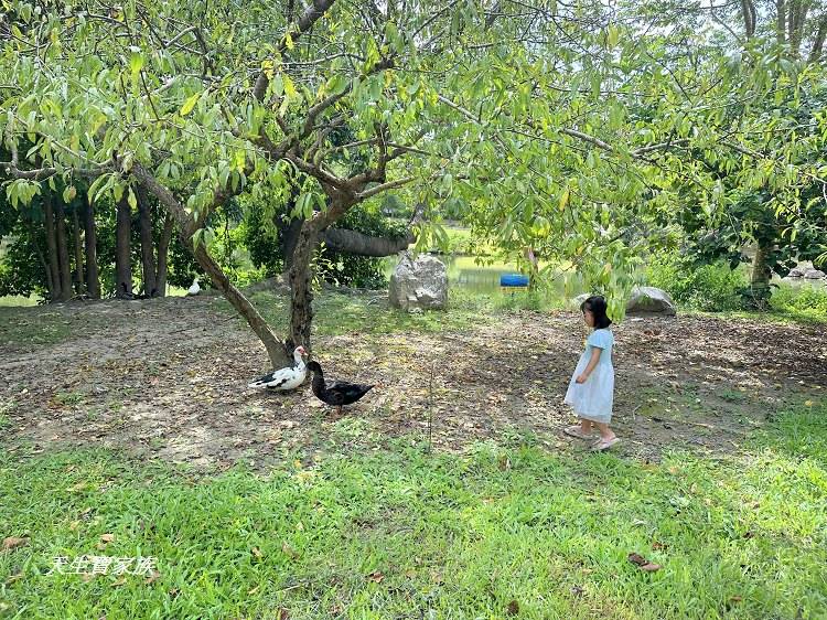 苗栗景點、雪霸國家公園管理處汶水遊客中心、雪霸國家公園管理處、雪霸國家公園、汶水遊客中心、雪霸國家公園一日遊、雪霸國家公園展示廳