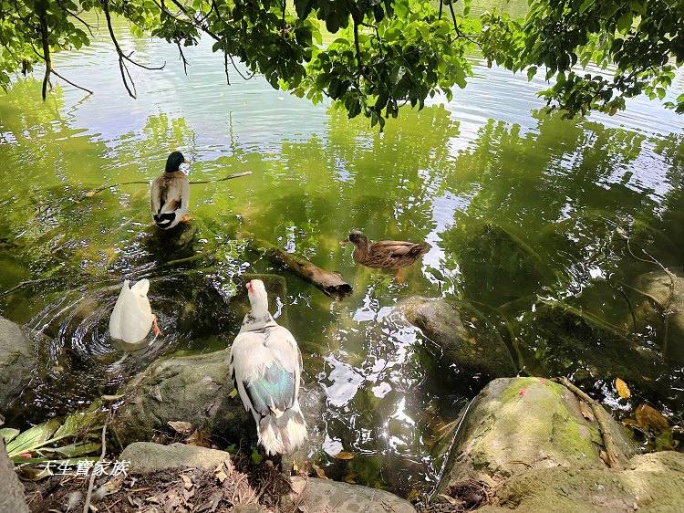 苗栗景點、雪霸國家公園管理處汶水遊客中心、雪霸國家公園管理處、雪霸國家公園、汶水遊客中心、雪霸國家公園一日遊、雪霸國家公園展示廳