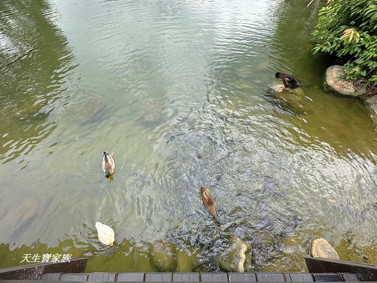 苗栗景點、雪霸國家公園管理處汶水遊客中心、雪霸國家公園管理處、雪霸國家公園、汶水遊客中心、雪霸國家公園一日遊、雪霸國家公園展示廳