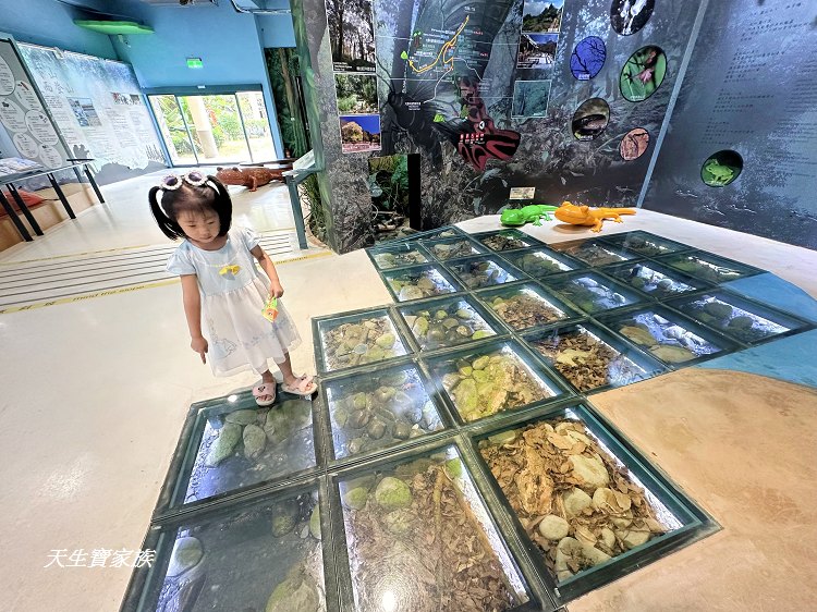 苗栗景點、雪霸國家公園管理處汶水遊客中心、雪霸國家公園管理處、雪霸國家公園、汶水遊客中心、雪霸國家公園一日遊、雪霸國家公園展示廳