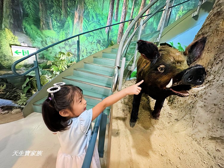 苗栗景點、雪霸國家公園管理處汶水遊客中心、雪霸國家公園管理處、雪霸國家公園、汶水遊客中心、雪霸國家公園一日遊、雪霸國家公園展示廳
