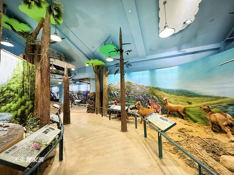 苗栗景點、雪霸國家公園管理處汶水遊客中心、雪霸國家公園管理處、雪霸國家公園、汶水遊客中心、雪霸國家公園一日遊、雪霸國家公園展示廳