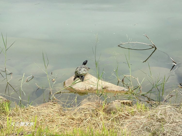 苗栗景點、雪霸國家公園管理處汶水遊客中心、雪霸國家公園管理處、雪霸國家公園、汶水遊客中心、雪霸國家公園一日遊、雪霸國家公園展示廳