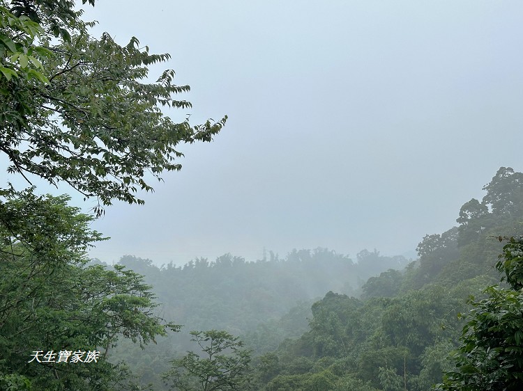 竹山景點、南投竹山山邊嶺土地公廟、山邊嶺土地公廟、山邊嶺土地公、山邊嶺土地公地址、山邊嶺土地公評論