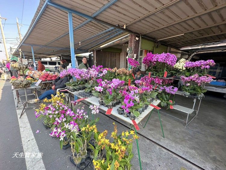 善化牛墟美食、善化牛墟必吃、善化牛墟牛肉湯、善化牛墟、善化牛墟好逛嗎、台南善化牛墟