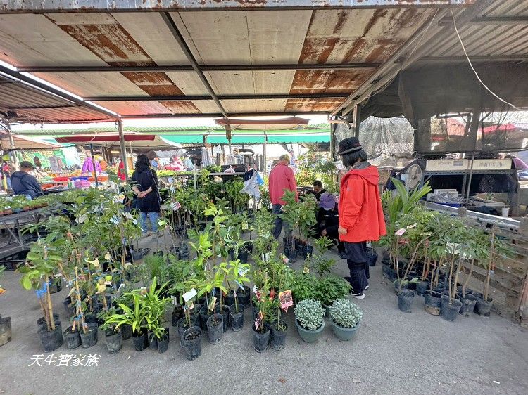 善化牛墟美食、善化牛墟必吃、善化牛墟牛肉湯、善化牛墟、善化牛墟好逛嗎、台南善化牛墟