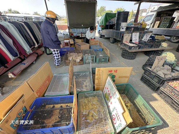 善化牛墟美食、善化牛墟必吃、善化牛墟牛肉湯、善化牛墟、善化牛墟好逛嗎、台南善化牛墟