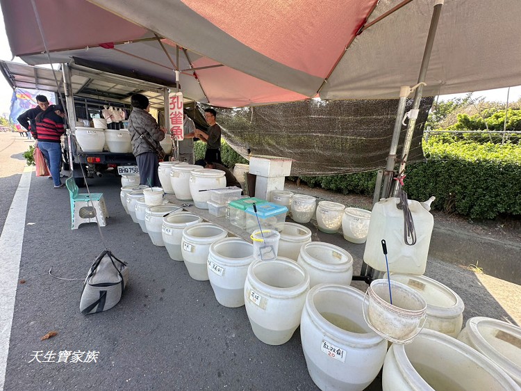 善化牛墟美食、善化牛墟必吃、善化牛墟牛肉湯、善化牛墟、善化牛墟好逛嗎、台南善化牛墟