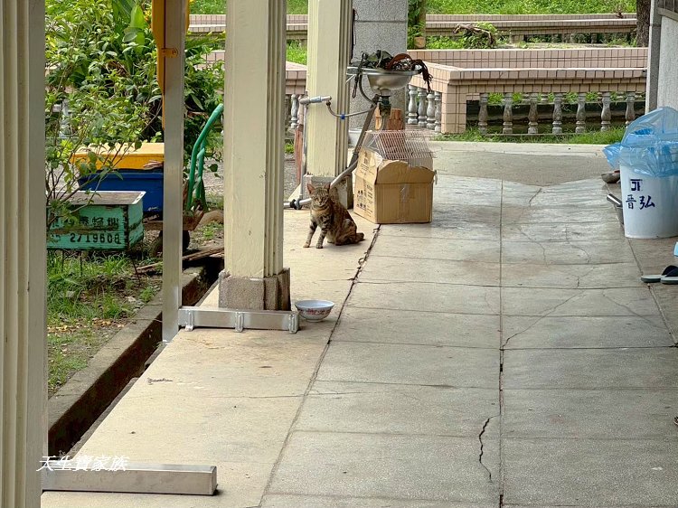 南靖糖廠休閒廣場、南靖糖廠、台灣糖業股份有限公司南靖糖廠南靖原料區、善化糖廠南靖原料課、南靖糖廠小火車、南靖糖廠地址