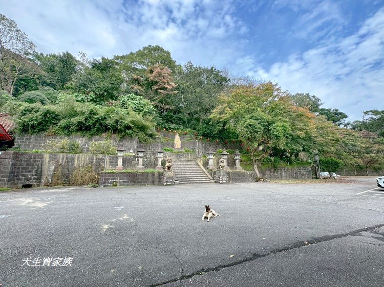 新北市景點、汐止景點、拱北殿、拱北殿步道、拱北殿賞楓時間、汐止拱北殿怎麼去、拱北殿一日遊、拱北殿即時影像