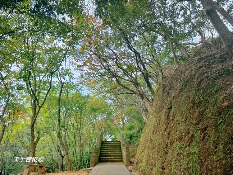 新北市景點、汐止景點、拱北殿、拱北殿步道、拱北殿賞楓時間、汐止拱北殿怎麼去、拱北殿一日遊、拱北殿即時影像 新北市景點、汐止景點、拱北殿、拱北殿步道、拱北殿賞楓時間、汐止拱北殿怎麼去、拱北殿一日遊、拱北殿即時影像