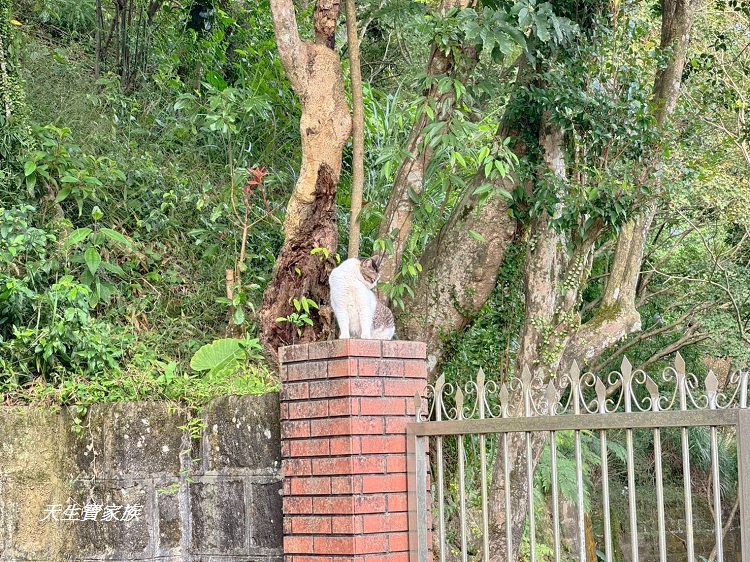 新北市景點、汐止景點、拱北殿、拱北殿步道、拱北殿賞楓時間、汐止拱北殿怎麼去、拱北殿一日遊、拱北殿即時影像 新北市景點、汐止景點、拱北殿、拱北殿步道、拱北殿賞楓時間、汐止拱北殿怎麼去、拱北殿一日遊、拱北殿即時影像