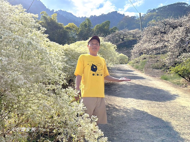 牛稠坑驛站、牛稠坑驛站門票、牛稠坑驛站低消、牛稠坑驛站菜單、牛稠坑驛站相片、牛稠坑驛站住宿、牛稠坑驛站的評論、南投賞梅、信義賞梅