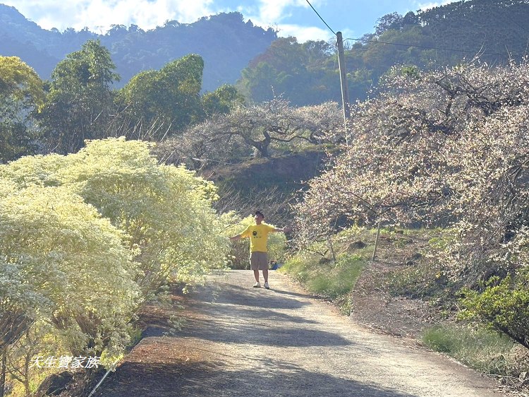 牛稠坑驛站、牛稠坑驛站門票、牛稠坑驛站低消、牛稠坑驛站菜單、牛稠坑驛站相片、牛稠坑驛站住宿、牛稠坑驛站的評論、南投賞梅、信義賞梅