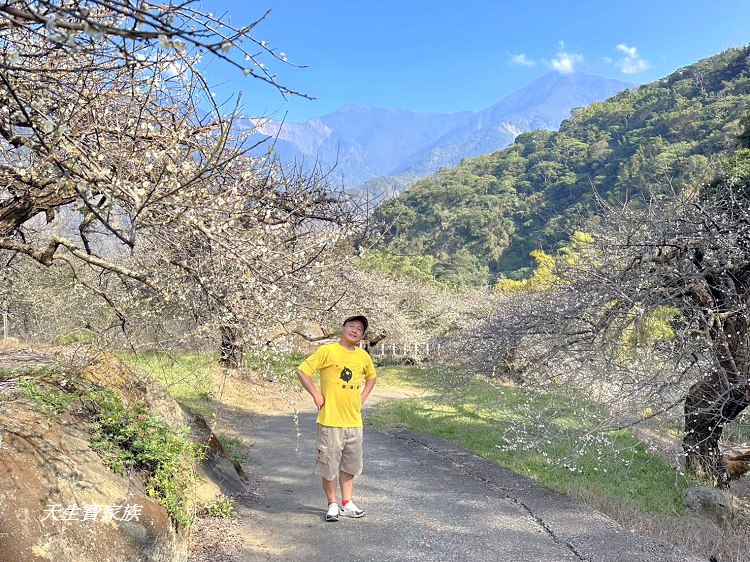 牛稠坑驛站、牛稠坑驛站門票、牛稠坑驛站低消、牛稠坑驛站菜單、牛稠坑驛站相片、牛稠坑驛站住宿、牛稠坑驛站的評論、南投賞梅、信義賞梅