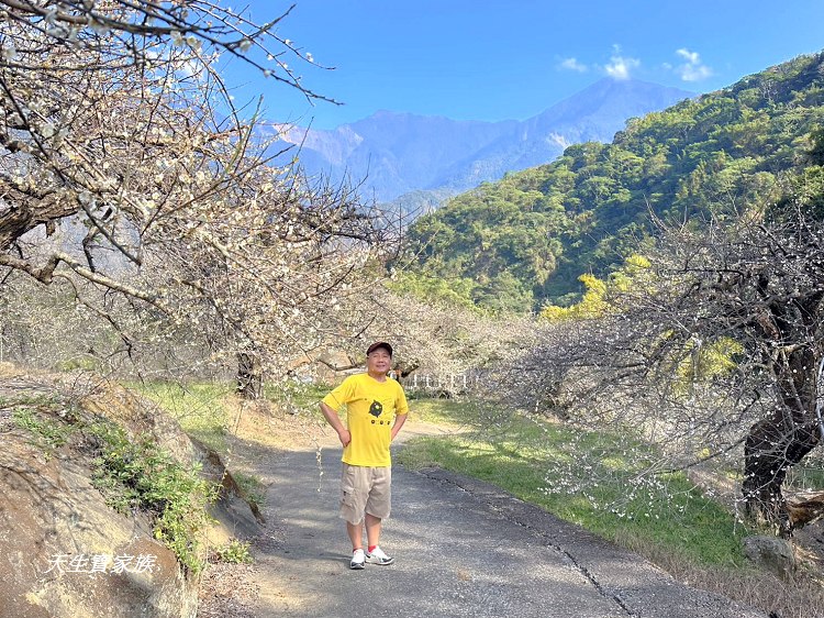 牛稠坑驛站、牛稠坑驛站門票、牛稠坑驛站低消、牛稠坑驛站菜單、牛稠坑驛站相片、牛稠坑驛站住宿、牛稠坑驛站的評論、南投賞梅、信義賞梅