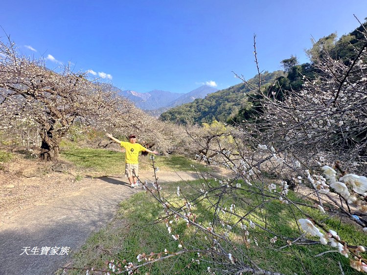 牛稠坑驛站、牛稠坑驛站門票、牛稠坑驛站低消、牛稠坑驛站菜單、牛稠坑驛站相片、牛稠坑驛站住宿、牛稠坑驛站的評論、南投賞梅、信義賞梅