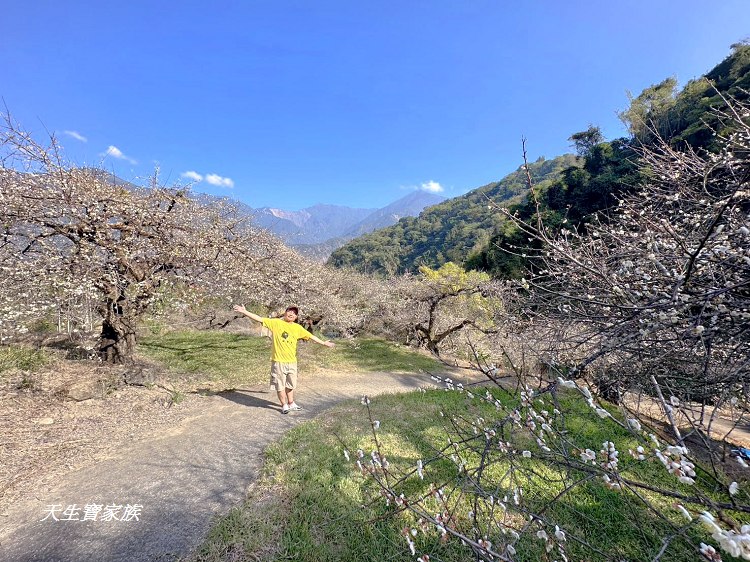 牛稠坑驛站、牛稠坑驛站門票、牛稠坑驛站低消、牛稠坑驛站菜單、牛稠坑驛站相片、牛稠坑驛站住宿、牛稠坑驛站的評論、南投賞梅、信義賞梅