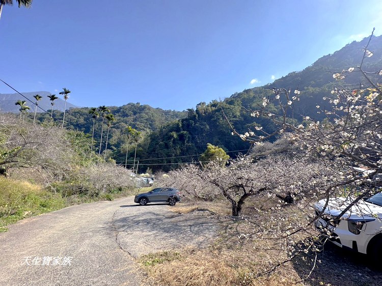 牛稠坑驛站、牛稠坑驛站門票、牛稠坑驛站低消、牛稠坑驛站菜單、牛稠坑驛站相片、牛稠坑驛站住宿、牛稠坑驛站的評論、南投賞梅、信義賞梅