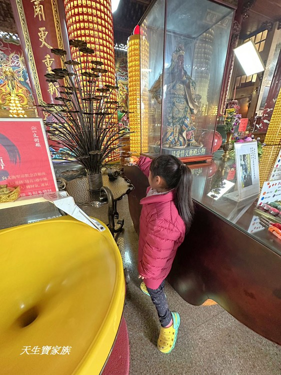 龍崎文衡殿、台南龍崎文衡殿、龍崎文衡殿 機器人、台南特色廟宇、台南景點、台南龍崎文衡殿 機器人廟