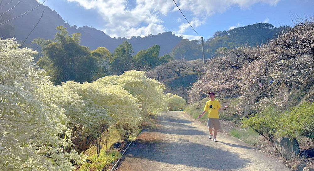 牛稠坑驛站、牛稠坑驛站門票、牛稠坑驛站低消、牛稠坑驛站菜單、牛稠坑驛站相片、牛稠坑驛站住宿、牛稠坑驛站的評論、南投賞梅、信義賞梅
