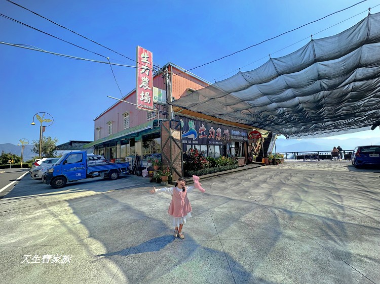 嘉義阿里山美食推薦、阿里山無菜單料理、阿里山田媽媽餐廳、生力農場餐廳、生力農場田媽媽餐廳、隙頂田媽媽餐廳、田媽媽餐廳