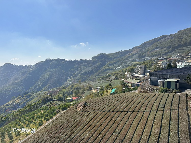 嘉義阿里山美食推薦、阿里山無菜單料理、阿里山田媽媽餐廳、生力農場餐廳、生力農場田媽媽餐廳、隙頂田媽媽餐廳、田媽媽餐廳