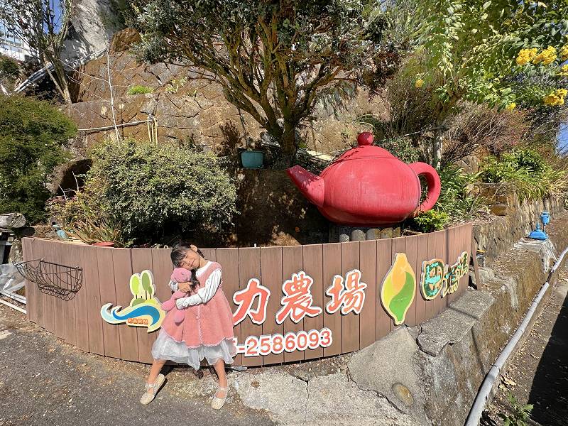 嘉義阿里山美食推薦、阿里山無菜單料理、阿里山田媽媽餐廳、生力農場餐廳、生力農場田媽媽餐廳、隙頂田媽媽餐廳、田媽媽餐廳