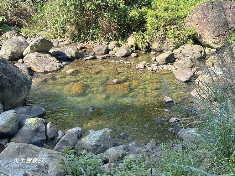 蓬萊溪護魚步道、親子步道推薦、蓬萊溪護魚步道要走多久、蓬萊溪護魚步道附近景點、蓬萊溪護魚步道的圖片、蓬萊溪護魚步道地圖、蓬萊溪護魚步道的評論、蓬萊溪護魚步道天氣、蓬萊溪護魚步道開放