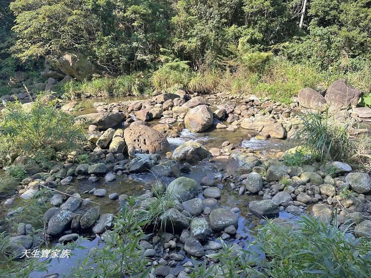 蓬萊溪護魚步道、親子步道推薦、蓬萊溪護魚步道要走多久、蓬萊溪護魚步道附近景點、蓬萊溪護魚步道的圖片、蓬萊溪護魚步道地圖、蓬萊溪護魚步道的評論、蓬萊溪護魚步道天氣、蓬萊溪護魚步道開放