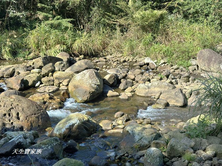 蓬萊溪護魚步道、親子步道推薦、蓬萊溪護魚步道要走多久、蓬萊溪護魚步道附近景點、蓬萊溪護魚步道的圖片、蓬萊溪護魚步道地圖、蓬萊溪護魚步道的評論、蓬萊溪護魚步道天氣、蓬萊溪護魚步道開放